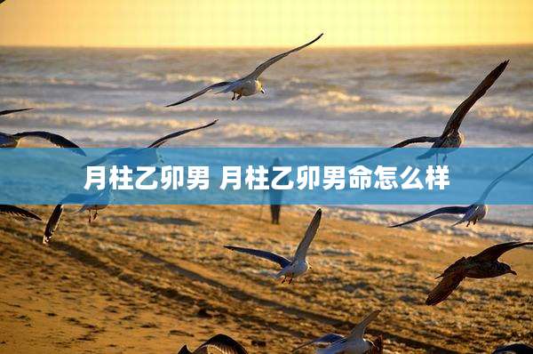 月柱乙卯男 月柱乙卯男命怎么样