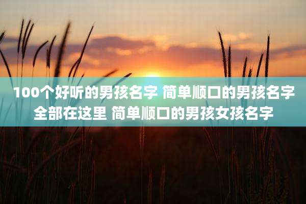 100个好听的男孩名字 简单顺口的男孩名字全部在这里 简单顺口的男孩女孩名字