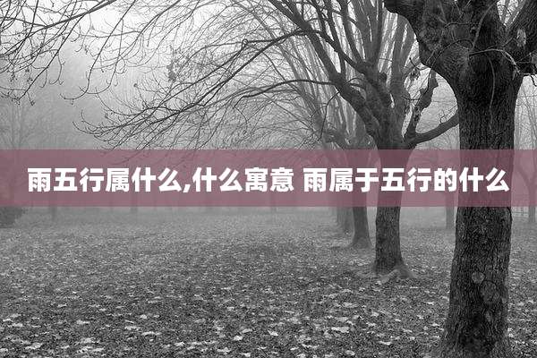雨五行属什么,什么寓意 雨属于五行的什么