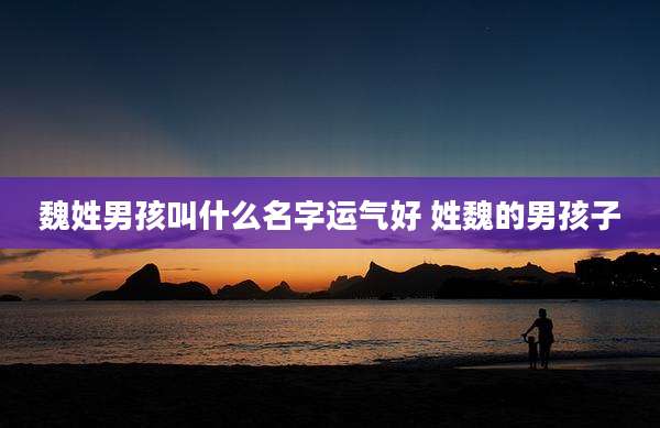 魏姓男孩叫什么名字运气好 姓魏的男孩子