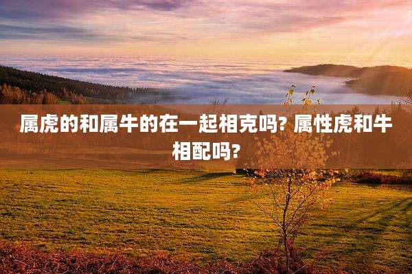 属虎的和属牛的在一起相克吗? 属***和牛相配吗?