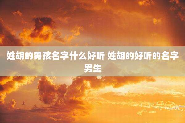 姓胡的男孩名字什么好听 姓胡的好听的名字男生