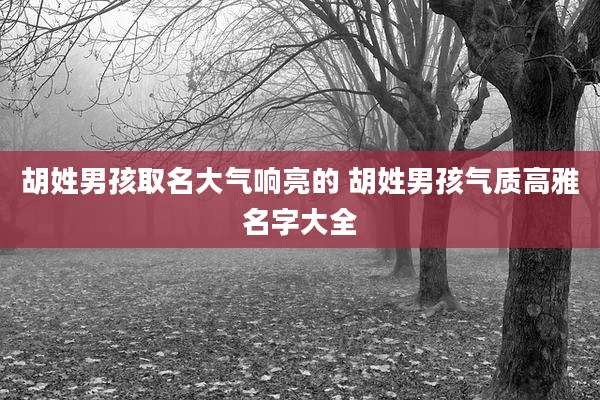 胡姓男孩取名大气响亮的 胡姓男孩气质高雅名字大全