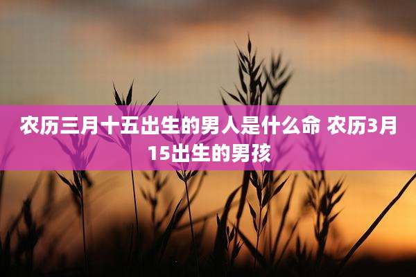 农历三月十五出生的男人是什么命 农历3月15出生的男孩