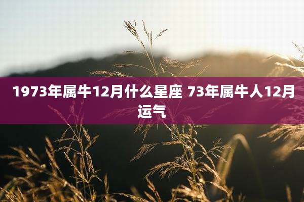 1973年属牛12月什么星座 73年属牛人12月运气