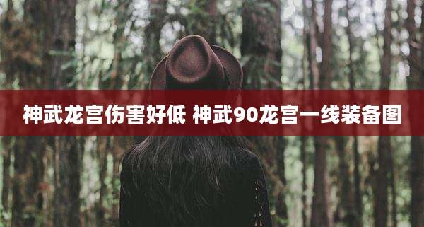 神武龙宫伤害好低 神武90龙宫一线装备图