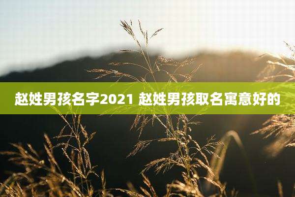 赵姓男孩名字2021 赵姓男孩取名寓意好的