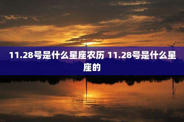 11.28号是什么星座农历 11.28号是什么星座的