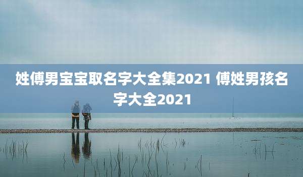 姓傅男宝宝取名字大全集2021 傅姓男孩名字大全2021
