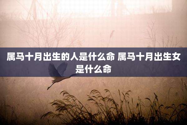 属马十月出生的人是什么命 属马十月出生女是什么命