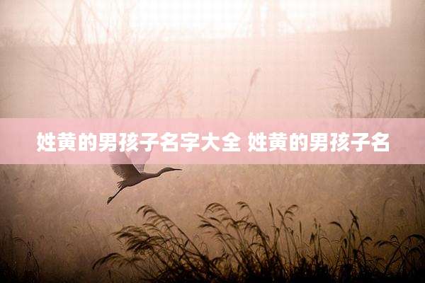 姓黄的男孩子名字大全 姓黄的男孩子名