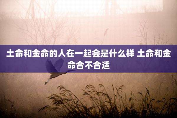 土命和金命的人在一起会是什么样 土命和金命合不合适