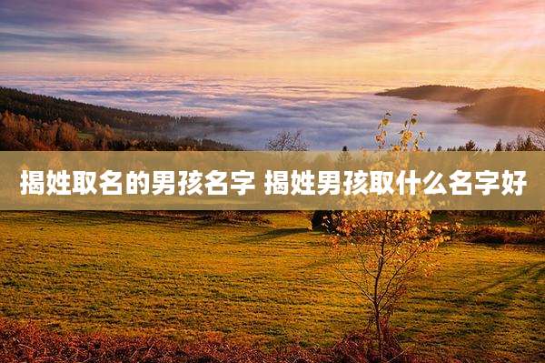 揭姓取名的男孩名字 揭姓男孩取什么名字好