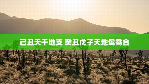 己丑天干地支 癸丑戊子天地鸳鸯合
