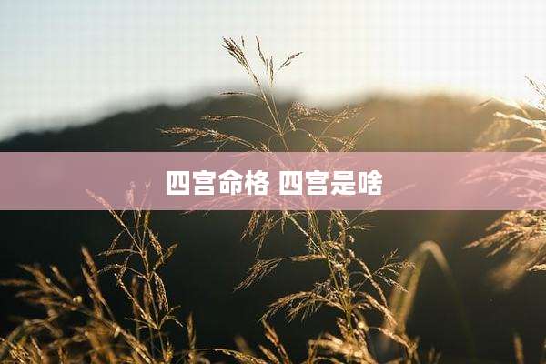 四宫命格 四宫是啥