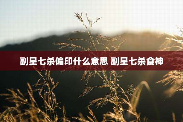 副星七杀偏印什么意思 副星七杀食神