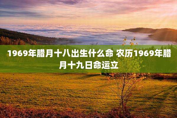 1969年腊月十八出生什么命 农历1969年腊月十九日命运立