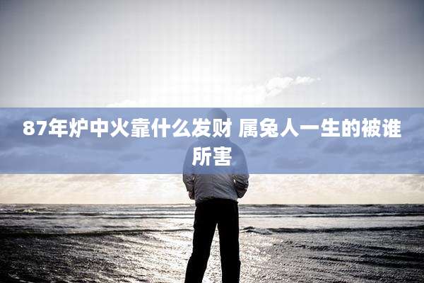 87年炉中火靠什么发财 属兔人一生的被谁所害