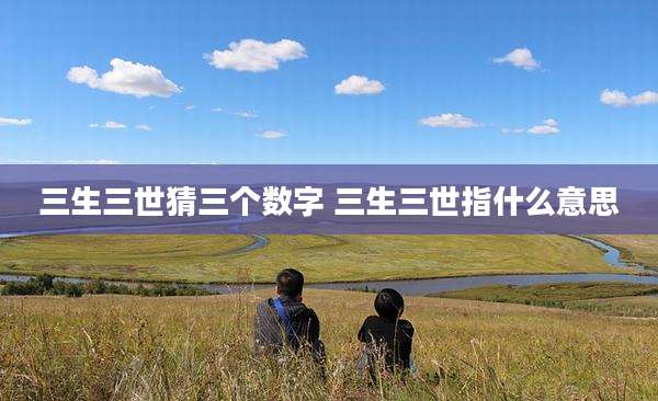 三生三世猜三个数字 三生三世指什么意思
