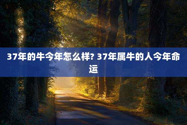 37年的牛今年怎么样? 37年属牛的人今年命运