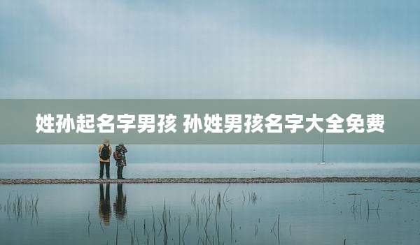 姓孙起名字男孩 孙姓男孩名字大全免费