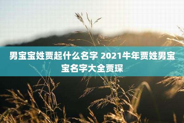 男宝宝姓贾起什么名字 2021牛年贾姓男宝宝名字大全贾琛