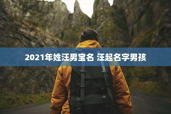 2021年姓汪男宝名 汪起名字男孩
