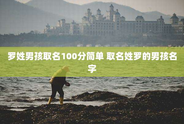罗姓男孩取名100分简单 取名姓罗的男孩名字