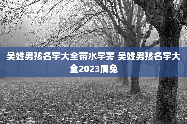 吴姓男孩名字大全带水字旁 吴姓男孩名字大全2023属兔