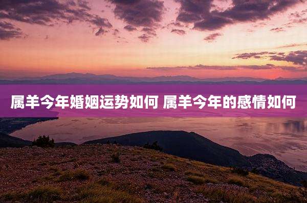 属羊今年婚姻运势如何 属羊今年的感情如何