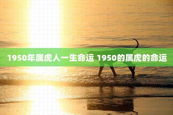 1950年属虎人一生命运 1950的属虎的命运
