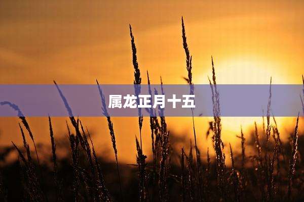 属龙正月十五
