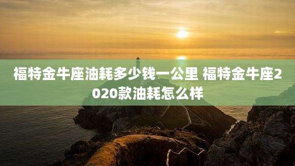 福特金牛座油耗多少钱一公里 福特金牛座2020款油耗怎么样