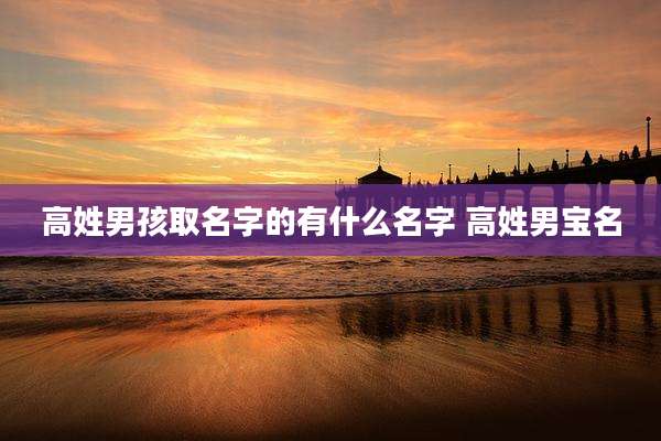 高姓男孩取名字的有什么名字 高姓男宝名