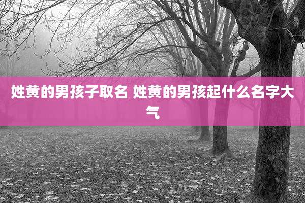 姓黄的男孩子取名 姓黄的男孩起什么名字大气