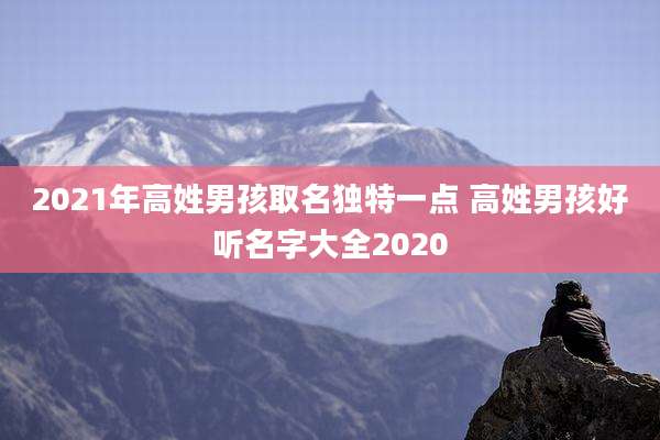 2021年高姓男孩取名独特一点 高姓男孩好听名字大全2020
