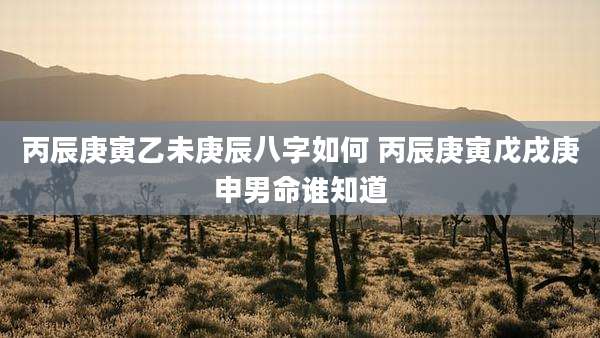 丙辰庚寅乙未庚辰八字如何 丙辰庚寅戊戌庚申男命谁知道