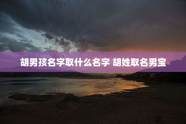 胡男孩名字取什么名字 胡姓取名男宝