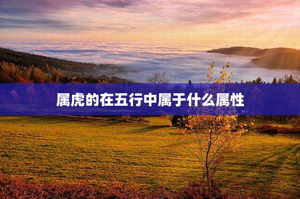属虎的在五行中属于什么属性