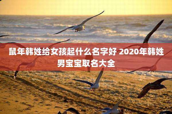 鼠年韩姓给女孩起什么名字好 2020年韩姓男宝宝取名大全