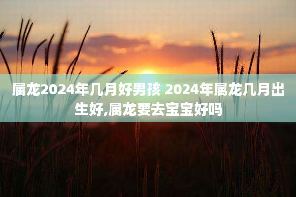 属龙2024年几月好男孩 2024年属龙几月出生好,属龙要去宝宝好吗
