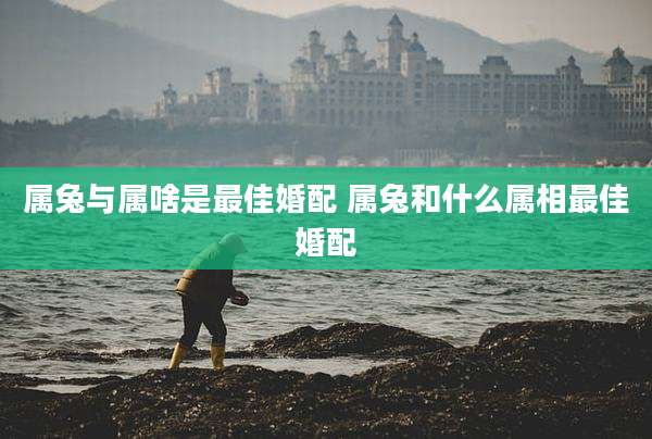 属兔与属啥是最佳婚配 属兔和什么属相最佳婚配