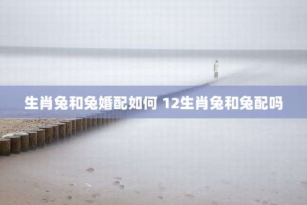 生肖兔和兔婚配如何 12生肖兔和兔配吗