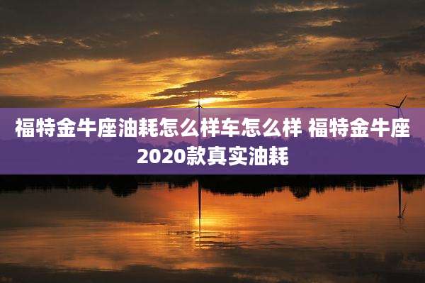 福特金牛座油耗怎么样车怎么样 福特金牛座2020款真实油耗