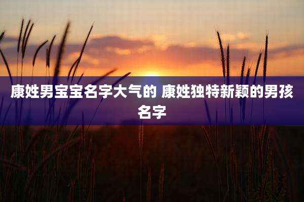康姓男宝宝名字大气的 康姓独特新颖的男孩名字