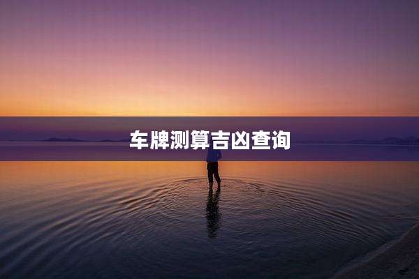 车牌测算吉凶查询
