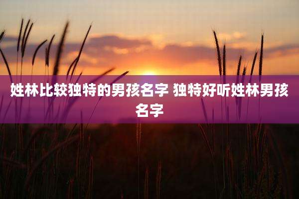姓林比较独特的男孩名字 独特好听姓林男孩名字