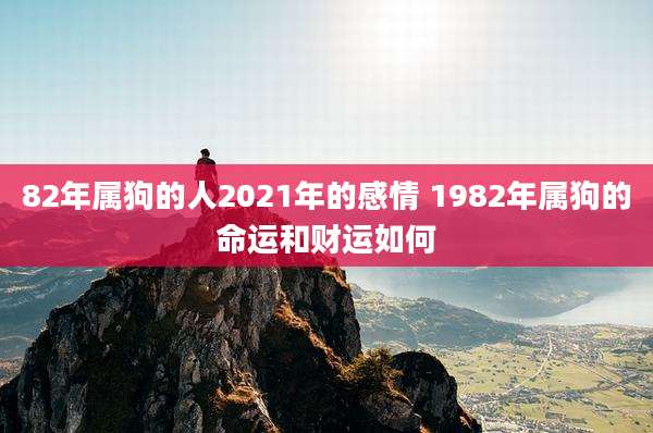 82年属狗的人2021年的感情 1982年属狗的命运和财运如何