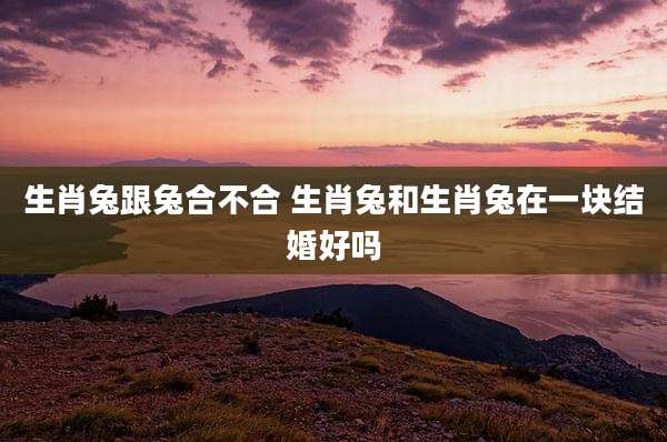 生肖兔跟兔合不合 生肖兔和生肖兔在一块结婚好吗