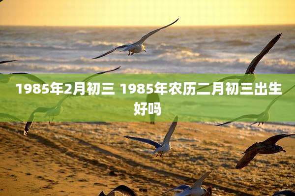 1985年2月初三 1985年农历二月初三出生好吗